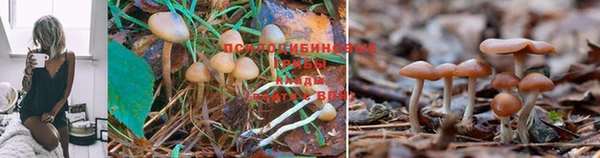 прущая мука Снежинск