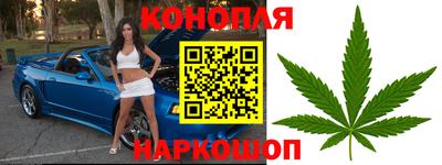 Альфа ПВП Анжеро-Судженск