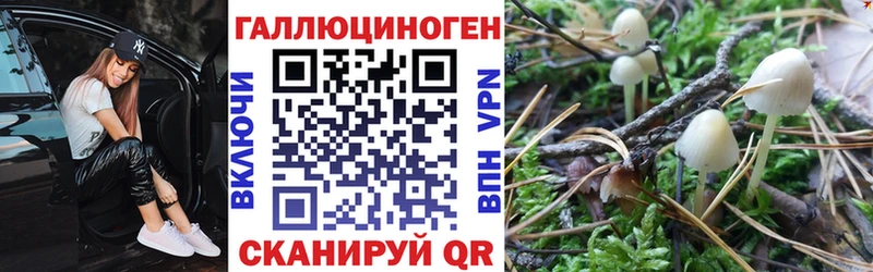 Галлюциногенные грибы Psilocybe  Уфа 