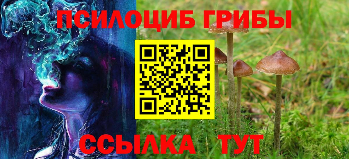 Галлюциногенные грибы Psilocybe Уфа