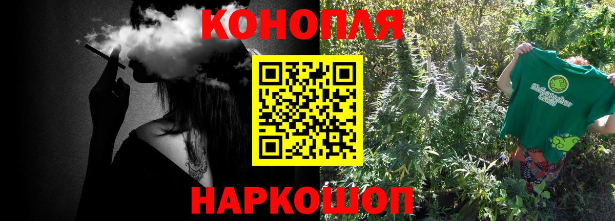 Бошки марихуана конопля  Вход с VPN  МАРИХУАНА планчик  Уфа  Конопля планчик  Каннабис SATIVA & INDICA 